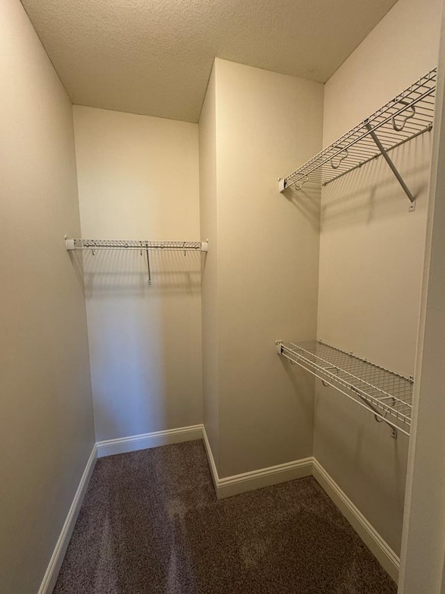 5029 Falling Spgs, Valdosta, GA 31602 - walk in closet featuring carpet flooring
