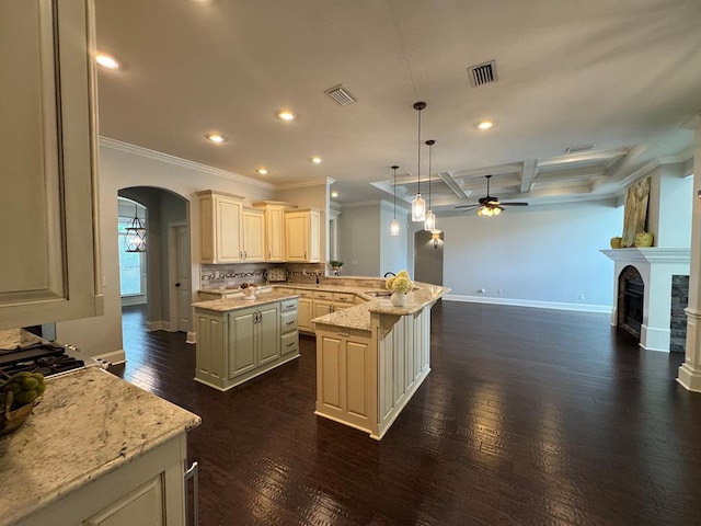 5029 Falling Spgs, Valdosta, GA 31602 - kitchen with a ceiling fan, recessed lighting, crown molding, a peninsula, and open floor plan