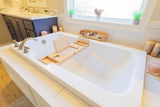 bathroom with vanity and a bathing tub