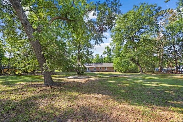 4848 Lori St, Valdosta, GA 31605 - view of grassy yard