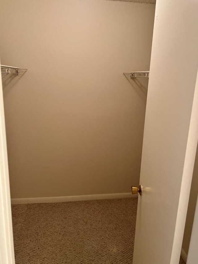 spacious closet with carpet floors