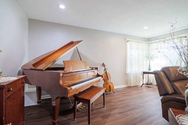 miscellaneous room with dark hardwood / wood-style flooring and a textured ceiling