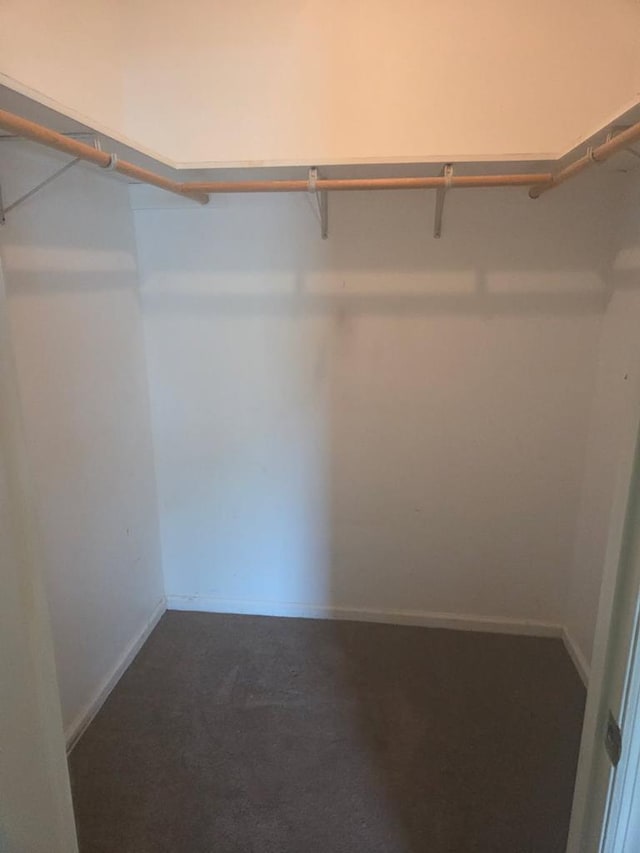 717 E 44th St, Tifton, GA 37194 - spacious closet with dark colored carpet