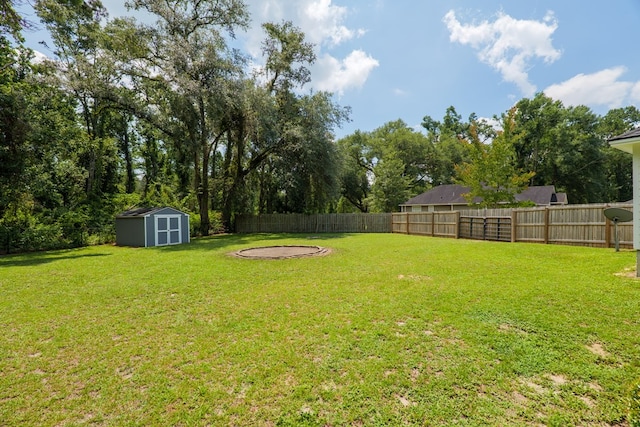 4600 Rustic Ridge Rd, Valdosta, GA 31602 - fenced backyard with a shed
