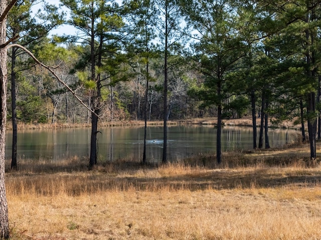 view of water feature