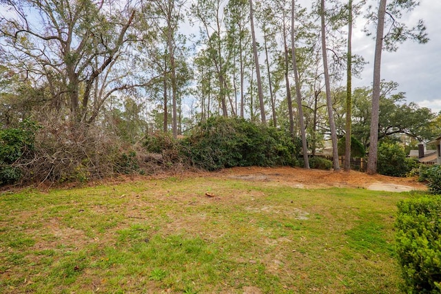 2205 Briarcliff Dr, Valdosta, GA 31602 - view of yard