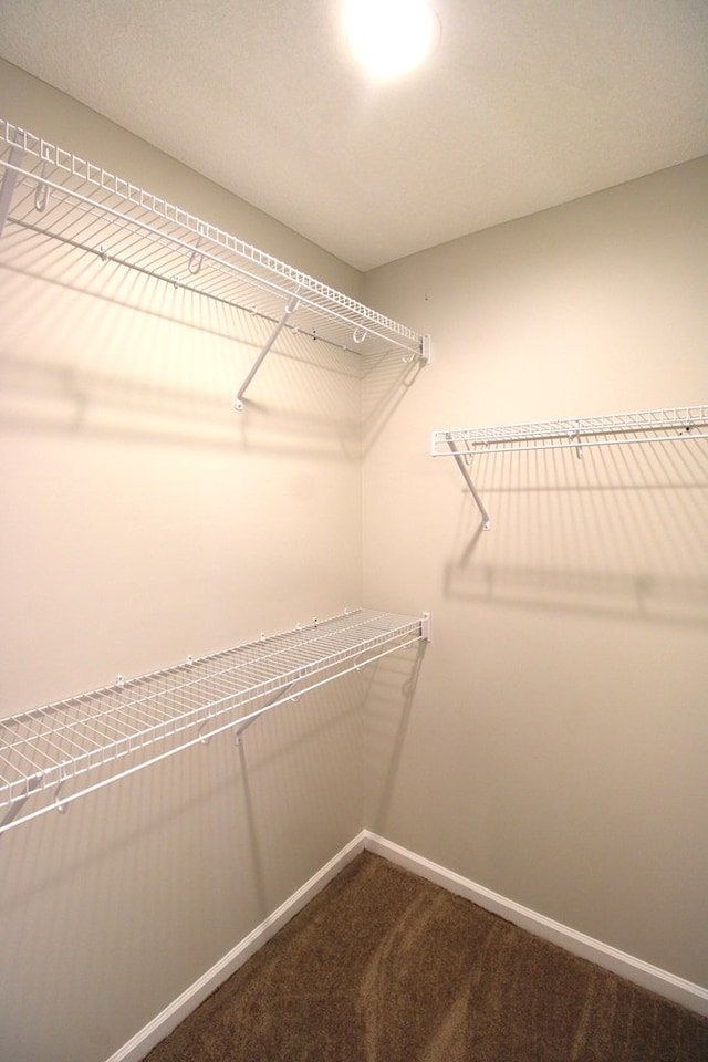 spacious closet with carpet flooring