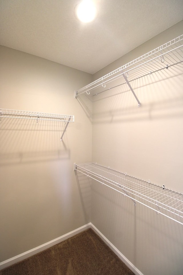 walk in closet featuring dark carpet