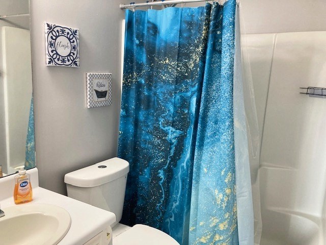 bathroom with toilet, a shower with shower curtain, and vanity