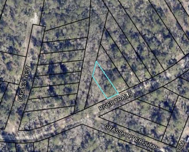 LT95G River Trl, Naylor GA, 31641 land for sale