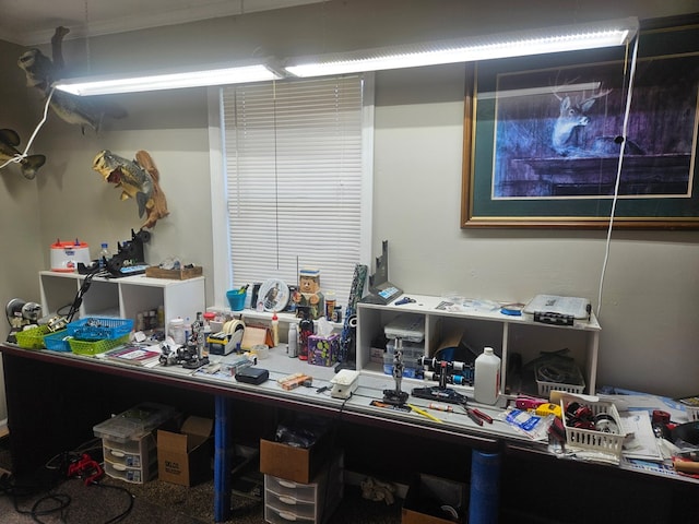 17 Green Lake Cir, Quitman, GA 31643 - office space with ornamental molding