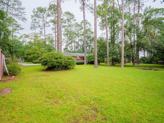 159 Ridgeland Dr, Valdosta, GA 31602 - photo 37