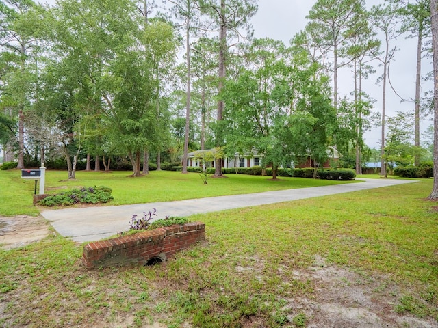 159 Ridgeland Dr, Valdosta, GA 31602 - photo 33