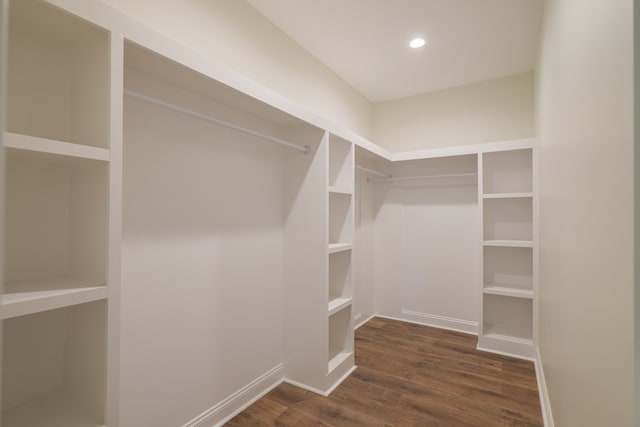 walk in closet featuring dark hardwood / wood-style flooring