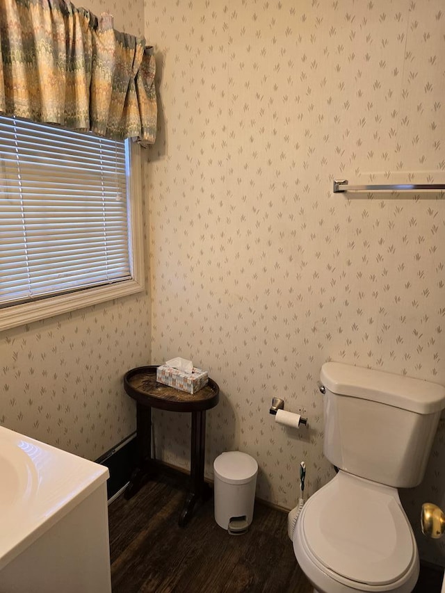 bathroom with vanity, wood-type flooring, and toilet