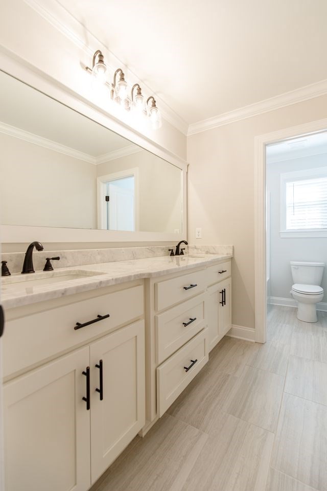 bathroom featuring vanity, toilet, and ornamental molding