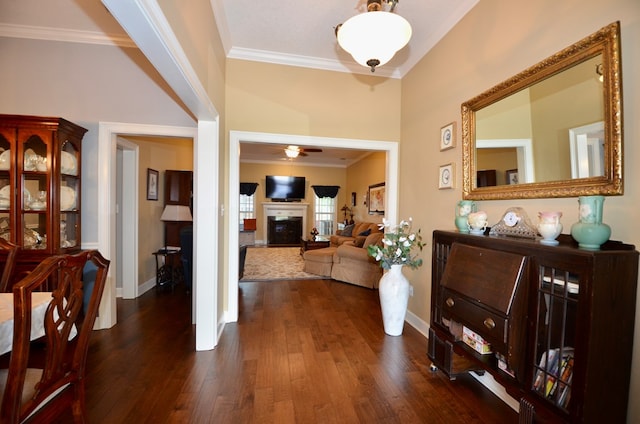 3854 Orchard Way, Valdosta, GA 31605 - foyer featuring ornamental molding, ceiling fan, dark wood-type flooring, baseboards, and a fireplace