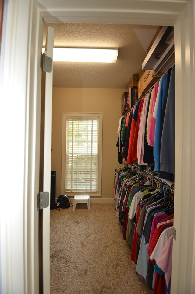 3854 Orchard Way, Valdosta, GA 31605 - spacious closet with carpet
