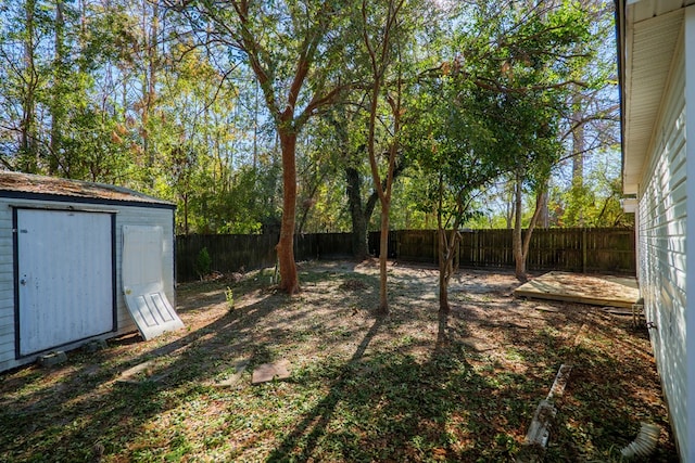 view of yard with a storage shed