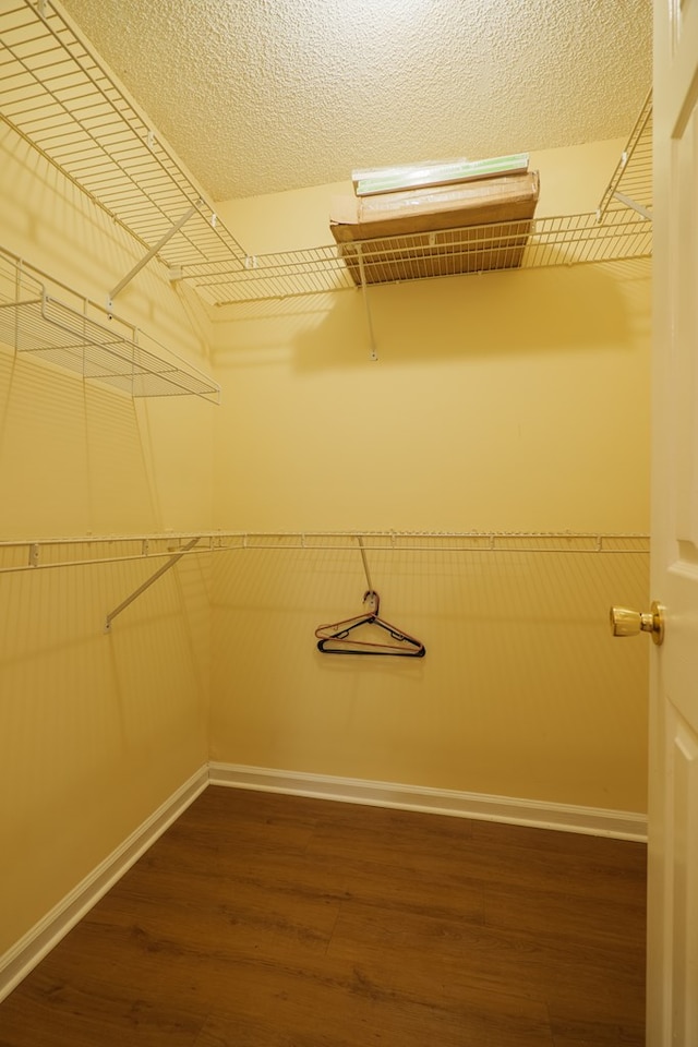 spacious closet featuring dark hardwood / wood-style flooring