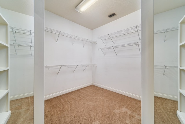 spacious closet featuring carpet floors