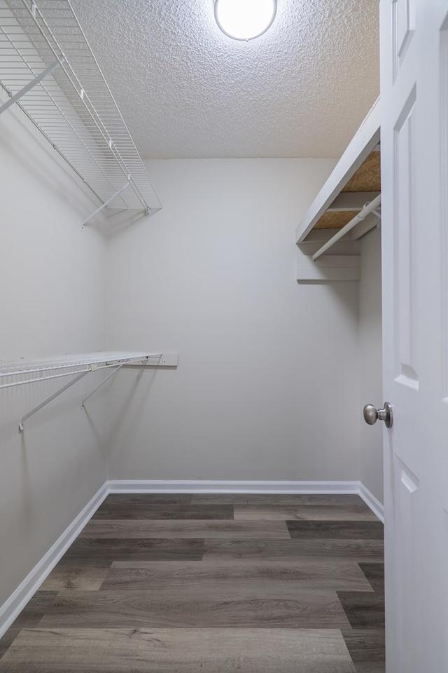 spacious closet with dark hardwood / wood-style floors