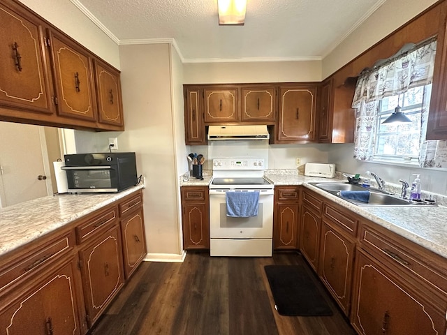 kitchen with ventilation hood, dark wood finished floors, electric range, a sink, and light countertops