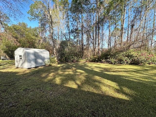 view of yard with an outdoor structure and a storage unit