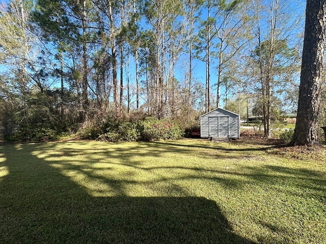 view of yard featuring an outbuilding and a storage unit