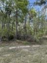 TBT River Rd, Lakeland, GA 31635 - photo 1