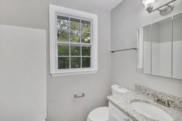 bathroom with vanity and toilet