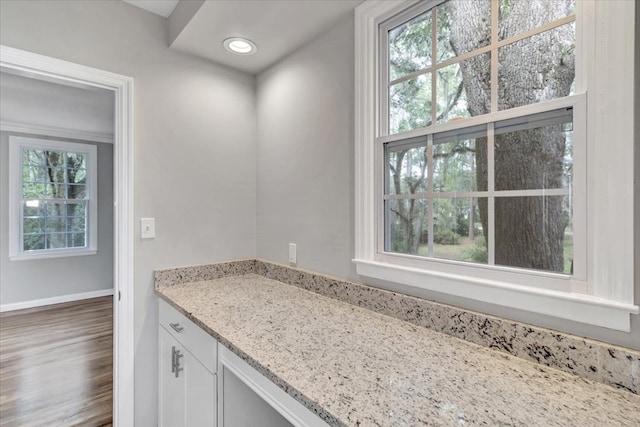 bathroom featuring wood-type flooring, vanity, and a healthy amount of sunlight