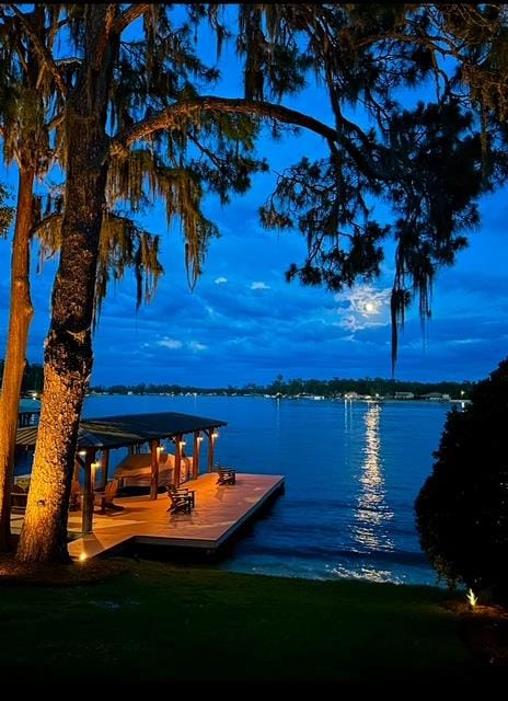 dock area with a water view