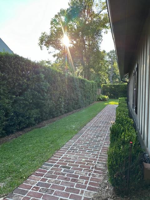 view of yard featuring a patio