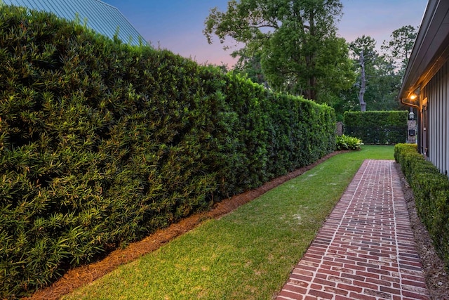 view of yard at dusk