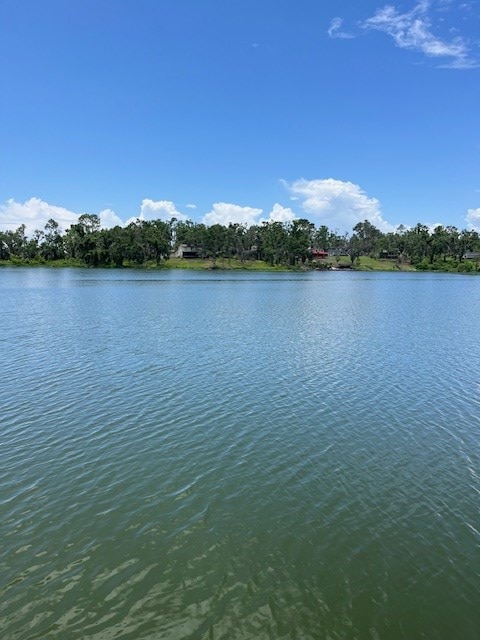 5054 Hammock Trl, Lake Park, GA 31636 - water view