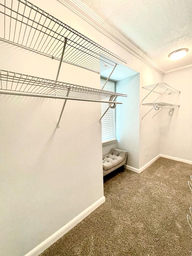 spacious closet featuring carpet floors