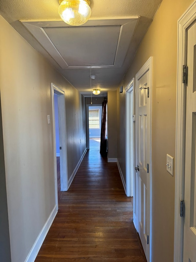 hallway featuring dark wood-type flooring