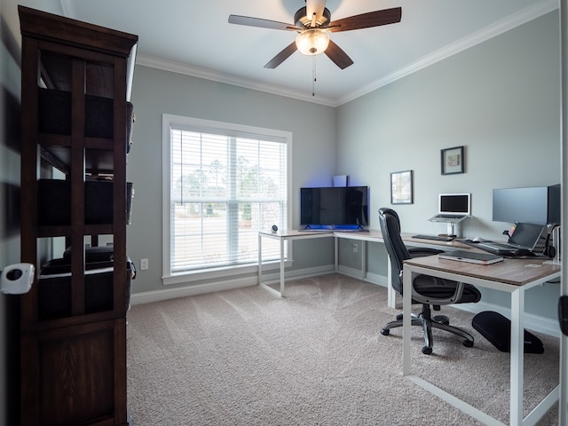 office featuring ornamental molding, carpet, and ceiling fan