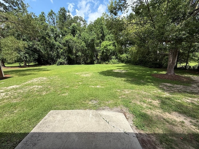 208 Magnolia Dr, Adel, GA 31620 - view of grassy yard with a patio