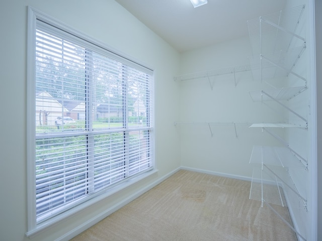 3218 Wildwood Plantation Dr, Valdosta, GA 31602 - photo 34