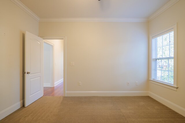 carpeted spare room featuring crown molding