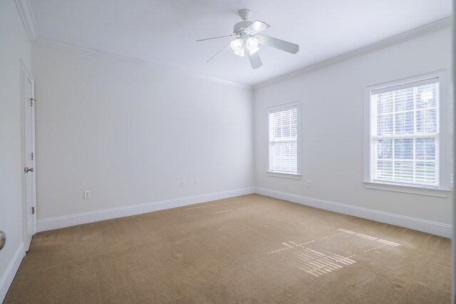 spare room featuring ceiling fan, light colored carpet, and crown molding