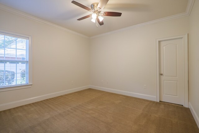 unfurnished room with crown molding, carpet floors, and ceiling fan