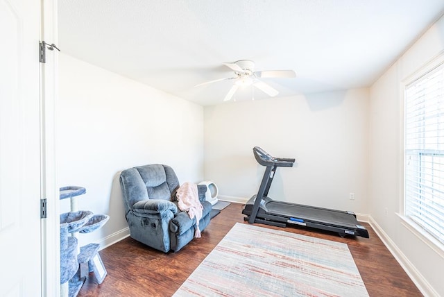 exercise area with dark hardwood / wood-style floors and ceiling fan