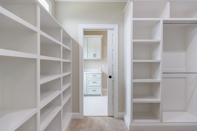 4856 Brown Cat Cir, Hahira, GA 31632 - walk in closet featuring light carpet