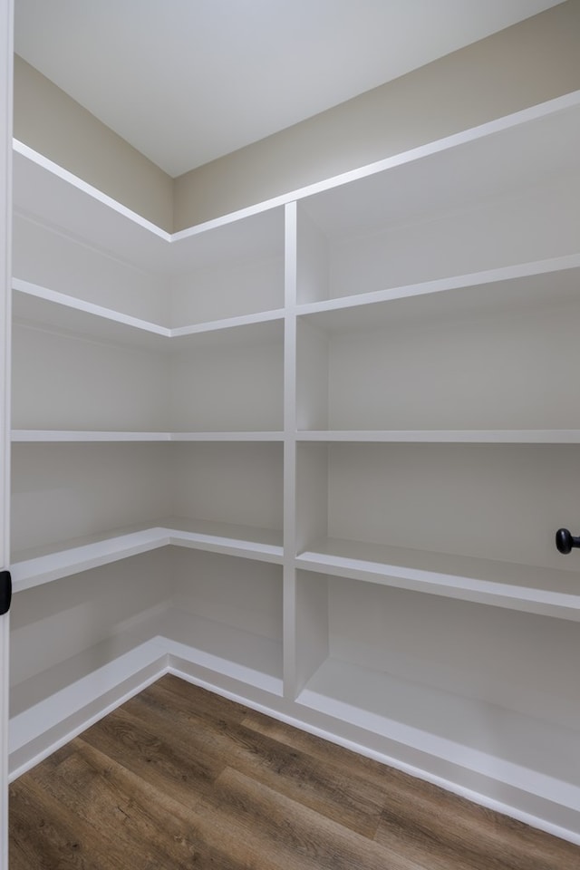 4856 Brown Cat Cir, Hahira, GA 31632 - view of pantry