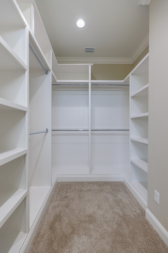 4856 Brown Cat Cir, Hahira, GA 31632 - walk in closet featuring carpet flooring