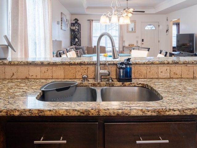 kitchen with sink, crown molding, a wealth of natural light, and a raised ceiling