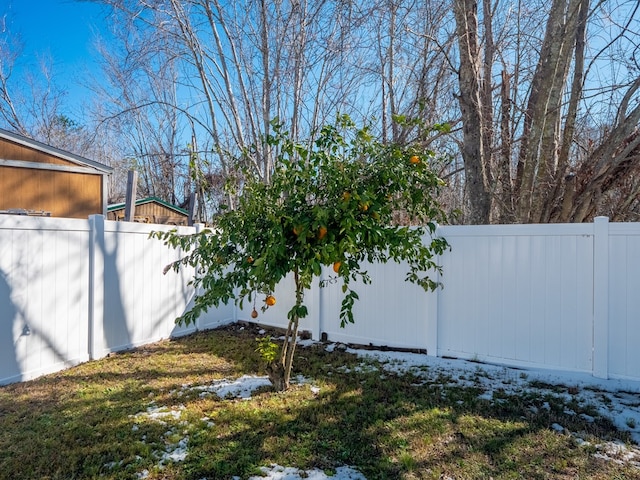 view of yard covered in snow